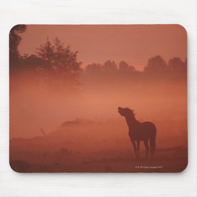 Horse at sunrise mouse pad (Front)
