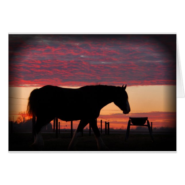 Horse at sunset (Front Horizontal)