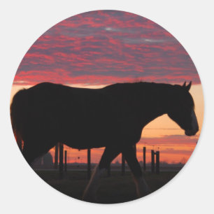 Horse at sunset classic round sticker