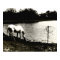 Horse at the Pond