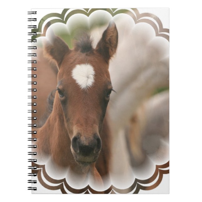 Horse Baby  Notebook (Front)