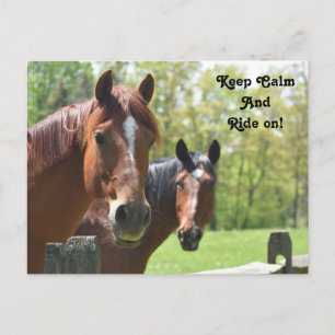 Horse back riding postcard