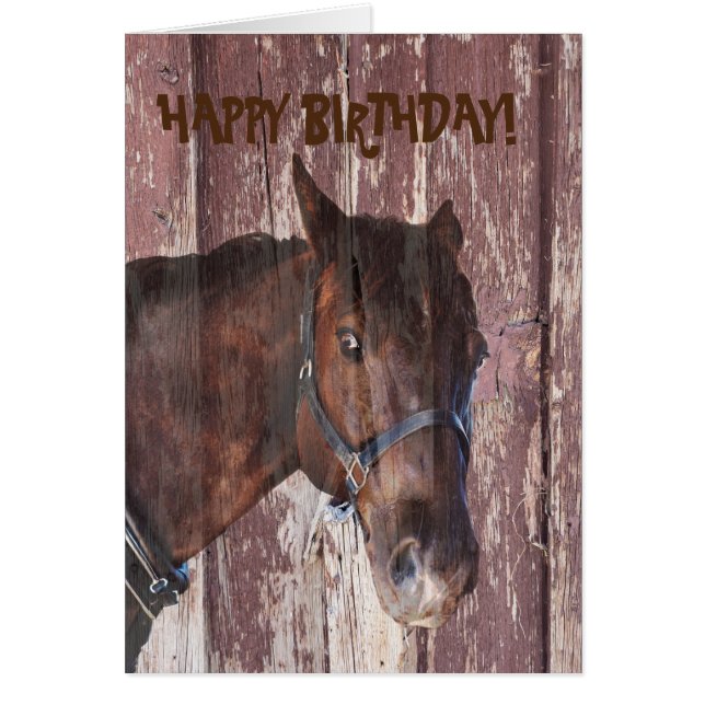 Horse & barn looking at you birthday greeting card (Front)