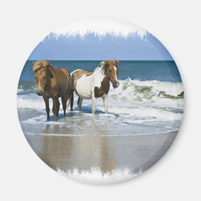 Horse Beach Magnet (Front)
