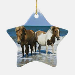 Horse Beach Ornament