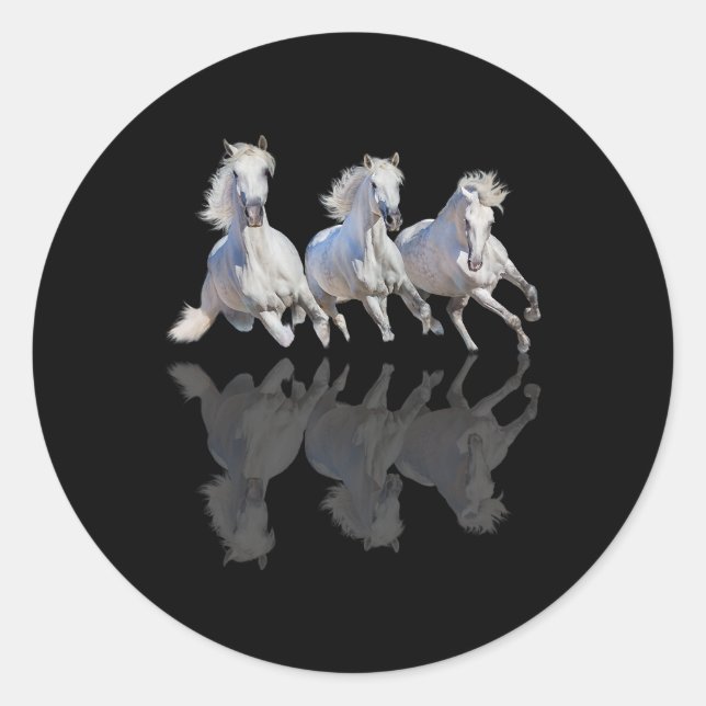 Horse Beautiful mirror mould in galloping horse ri Classic Round Sticker (Front)