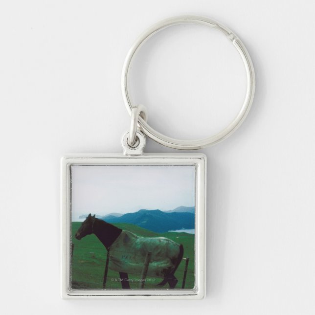Horse behind fence key ring (Front)