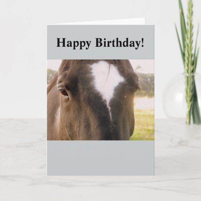 Horse Birthday Card (Front)