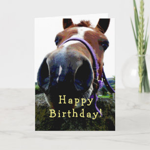 Horse  Birthday card