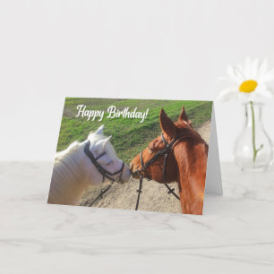 Horse Birthday Card