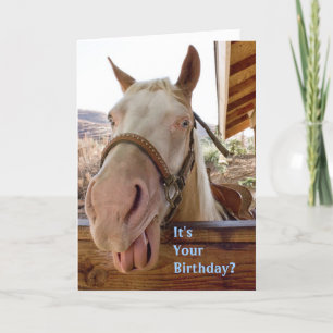 Horse Birthday Card