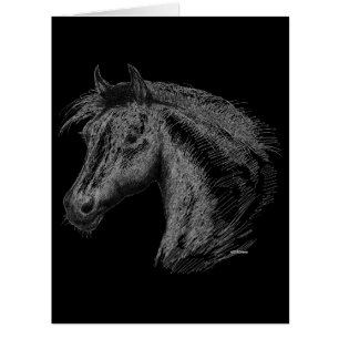 Horse: Black