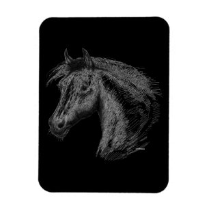 Horse:  Black Magnet