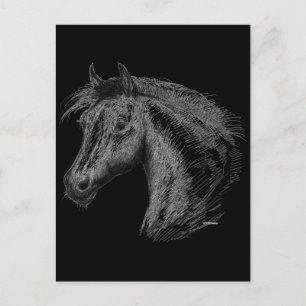 Horse: Black Postcard