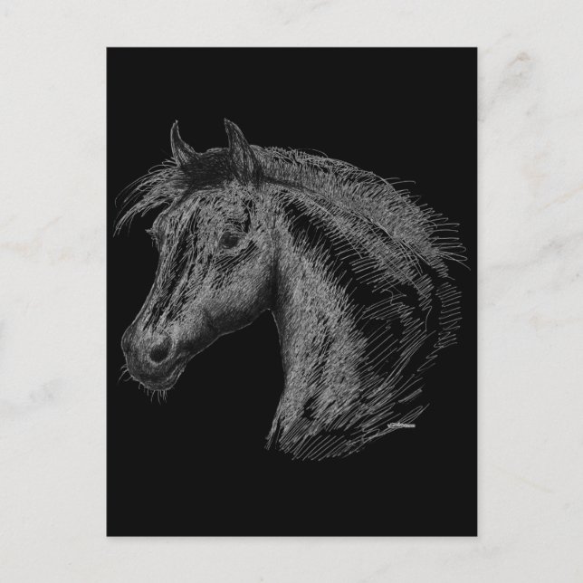 Horse:  Black Postcard (Front)