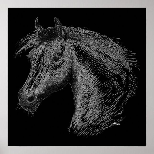 Horse:  Black Poster (Front)