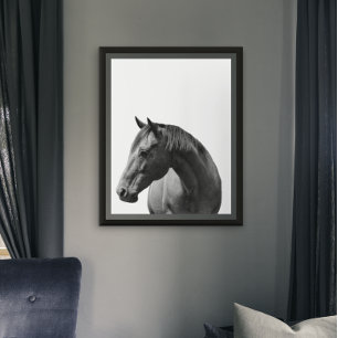 Horse  Black White  Style Modern Poster