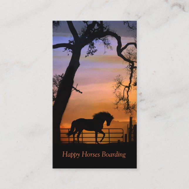 Horse Boarding Business Cards (Front)