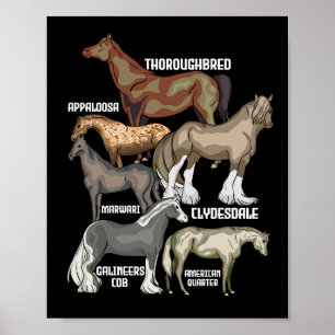 Horse Breeds Horse Riding Gift Women Horses Poster