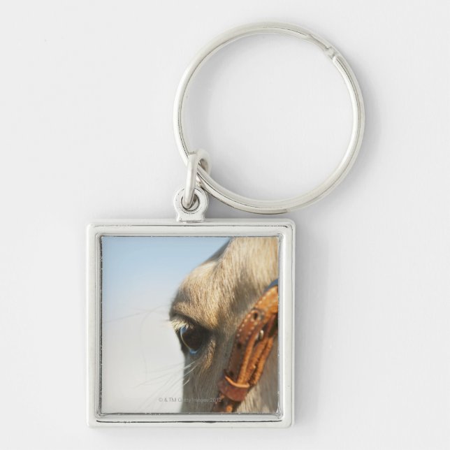 Horse bridle key ring (Front)