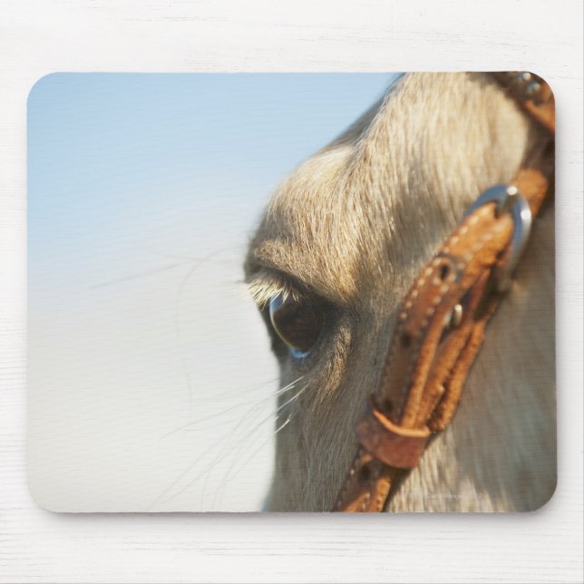 Horse bridle mouse pad (Front)
