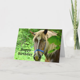 Horse Brown Belgian Draft Photo Birthday Card