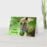 Horse Brown Belgian Draft Photo Sympathy