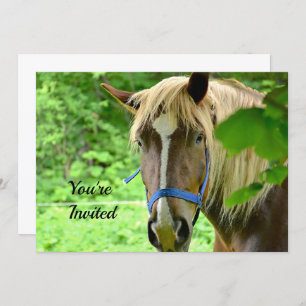 Horse Brown Belgian Draught Photo Birthday Invitation