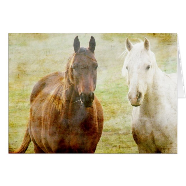 Horse Buddies (Front Horizontal)