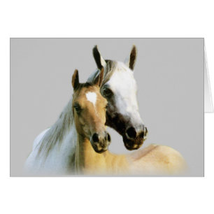 Horse Buddies Card