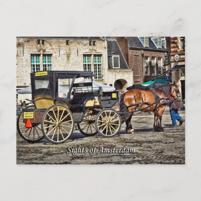 Horse Buggy Taxi, Sights of Amsterdam Postcard (Front)