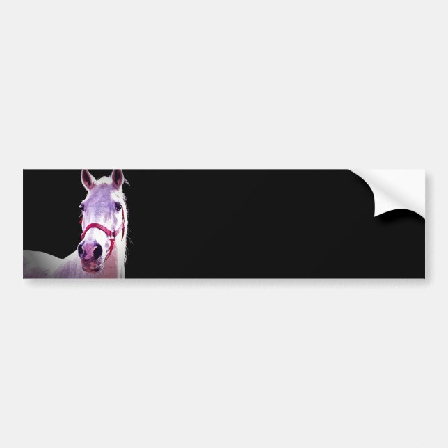 Horse Bumper Sticker (Front)