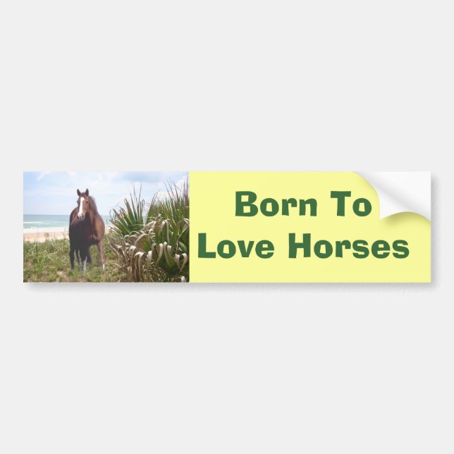 Horse Bumper Sticker Beach (Front)
