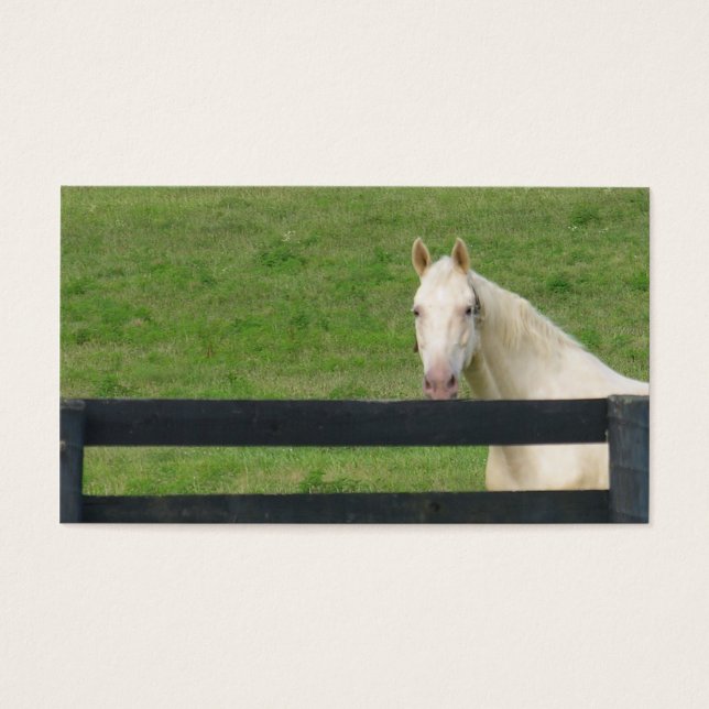 Horse busines card (Front)