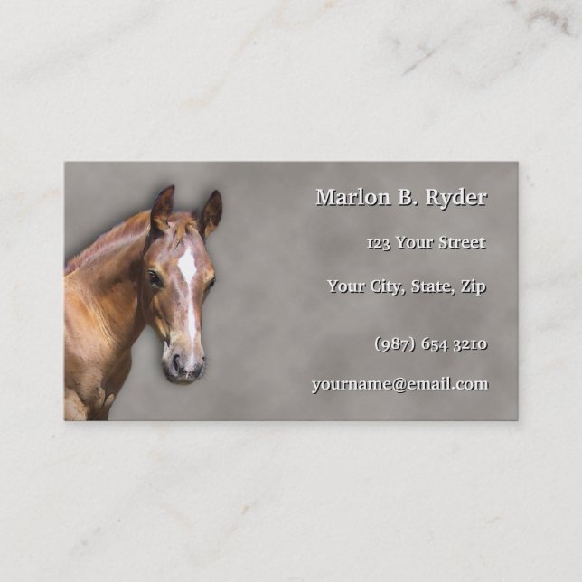 Horse Business Card (Front)
