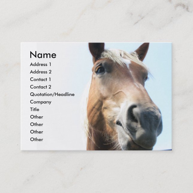 Horse Business Card (Front)