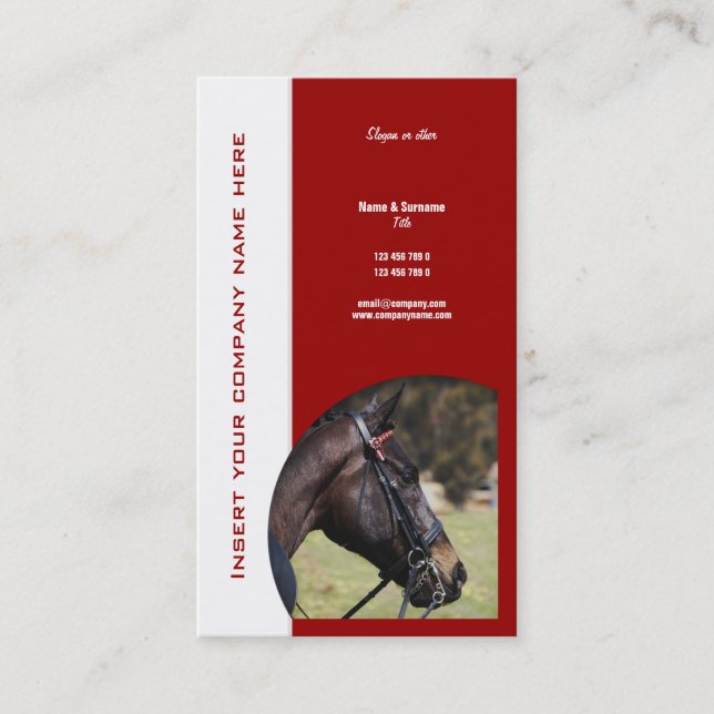 Horse business marketing business card (Front)