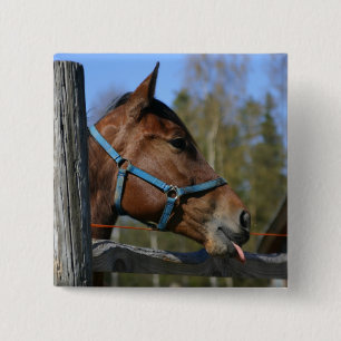 Horse button