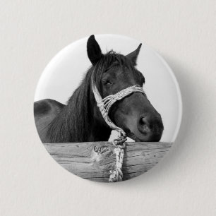 Horse Button