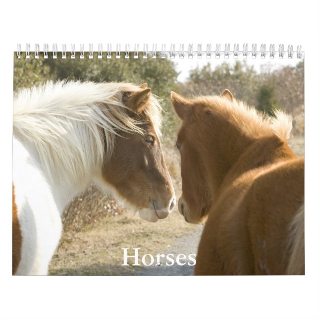 Horse Calendar (Cover)