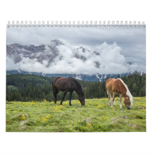 Horse Calendar