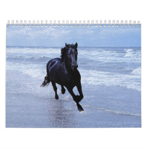 Horse Calendar