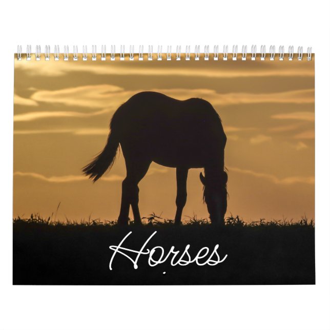 Horse Calendar (Cover)