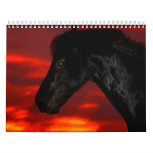 Horse Calendar