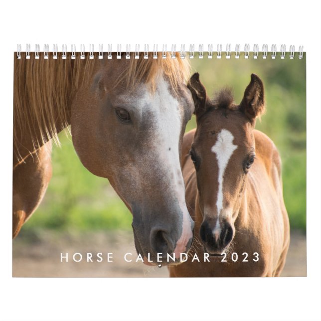 Horse Calendar 2023 Custom Add Your Photo (Cover)
