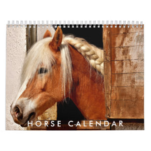 Horse Calendar 2025