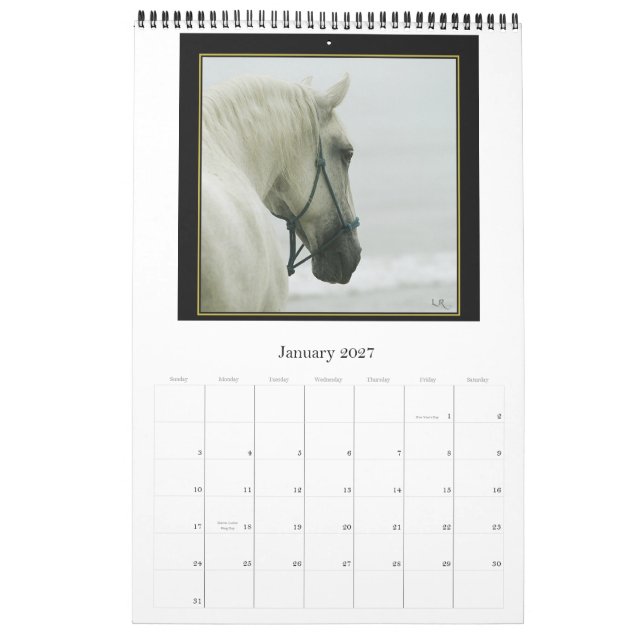 Horse Calendar -Andalusian, Friesian Lipizzan (Jan 2027)