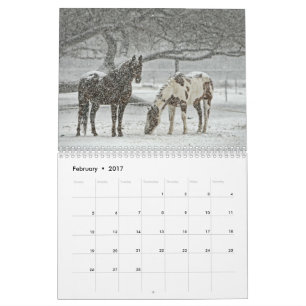 Horse Calender Calendar