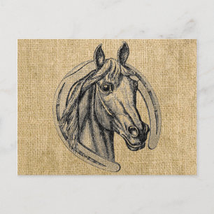 Horse Cameo on Burlap Postcard