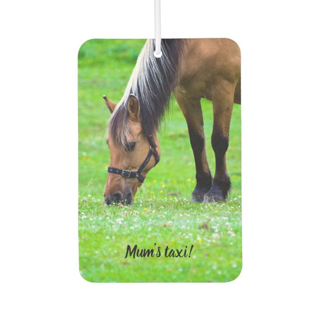 Horse Car air freshener (Front)
